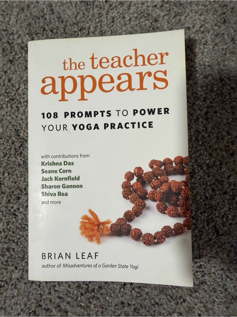 The Teacher Appears by Brian Leaf